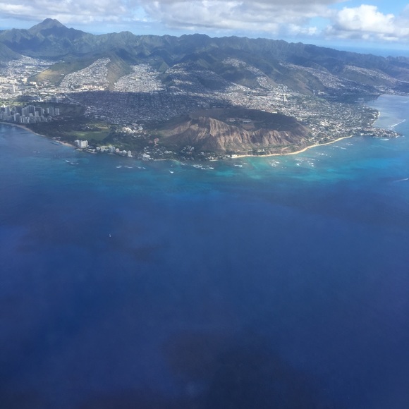 Meet your Posher, Syd - Picture 2 of 3